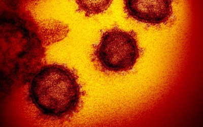 Para derrotar al coronavirus y la recesión hacen falta políticas republicanas de izquierda